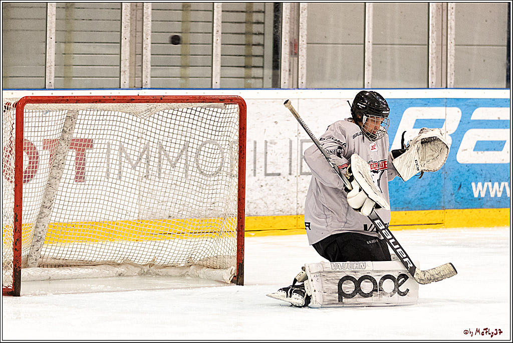 Sponsorentraining Kölner Haie 8.6.2022, 08.06.2022